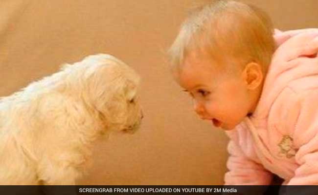 ये वो 7 Funny videos हैं जिन्हें देख चुके एक करोड़ से ज्यादा लोग