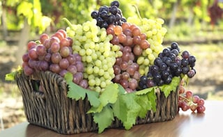 The Different Types of Grapes for Eating & Making Wine