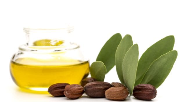 Hasil gambar untuk jojoba oil