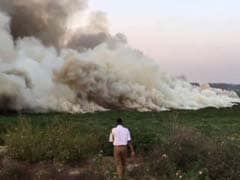 Furious Over This Fire, Top Green Court Intervenes To Save Bellandur Lake
