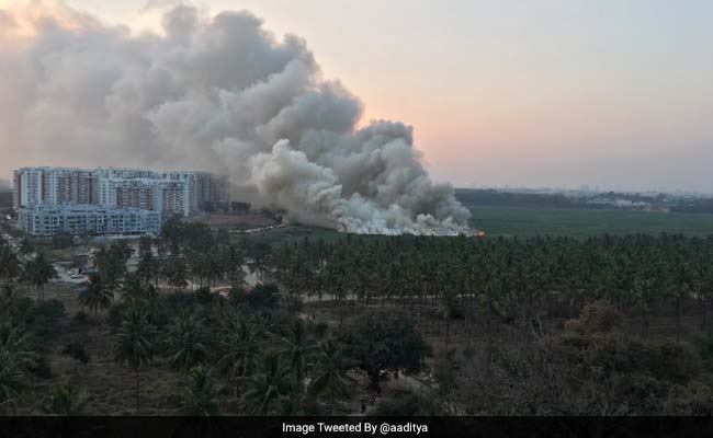 Furious Over This Fire, Top Green Court Intervenes To Save Bellandur Lake