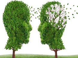 Tackling Memory Loss: How Marijuana May Help Slow Down Brain Ageing Tackling Memory Loss: How Marijuana May Help Slow Down Brain Ageing