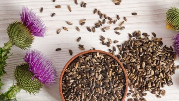 7 Amazing Benefits of Milk Thistle: For Strong Immunity & Better Digestion