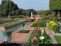 आम जनता के लिए 12 फरवरी से 16 मार्च तक खुलेगा मुगल गार्डन,  प्रत्येक स्लॉट में 100 लोगों के प्रवेश की अनुमति आम जनता के लिए 12 फरवरी से 16 मार्च तक खुलेगा मुगल गार्डन,  प्रत्येक स्लॉट में 100 लोगों के प्रवेश की अनुमति