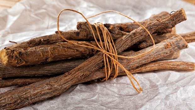 Licorice Root For Digestion: एसिडिटी और अपच के लिए  संजीवनी बूटी है मुलेठी, जानें सेवन करने का सही तरीका