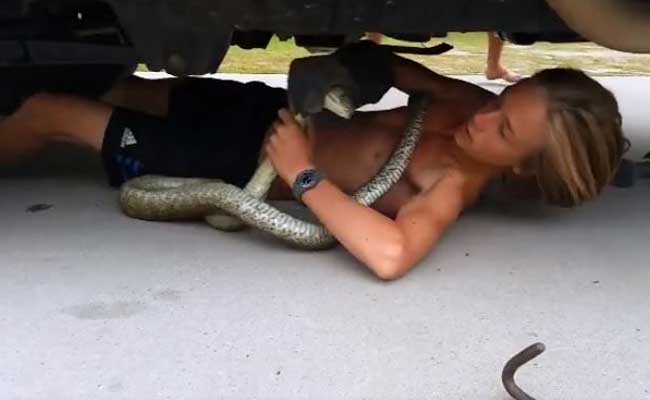 Queensland 'Snake Boy' Pulls Out Huge Snake From Car Before School