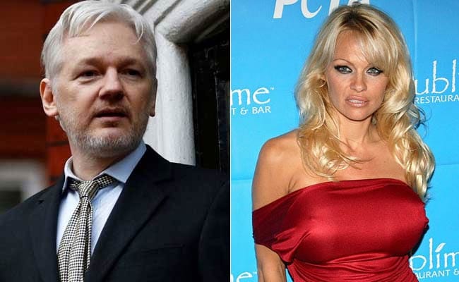 Is Pamela Anderson Dating Wikileaks Founder Julian Assange?