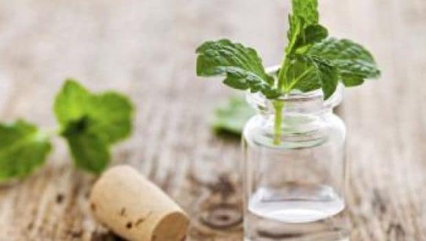 10 Incredible Uses of Peppermint Oil for Health and Beauty