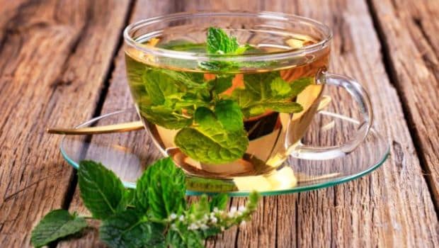 8 Benefits Of Peppermint Tea From Inducing Sleep To Aiding Weight Loss And More Ndtv Food