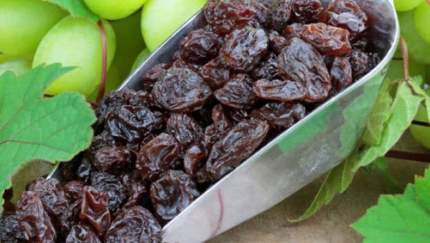 Black Raisins Benefits: हाई ब्लड प्रेशर को कंट्रोल करने और हेल्दी पाचन के लिए कमाल है काली किशमिश, जानें 7 फायदे!