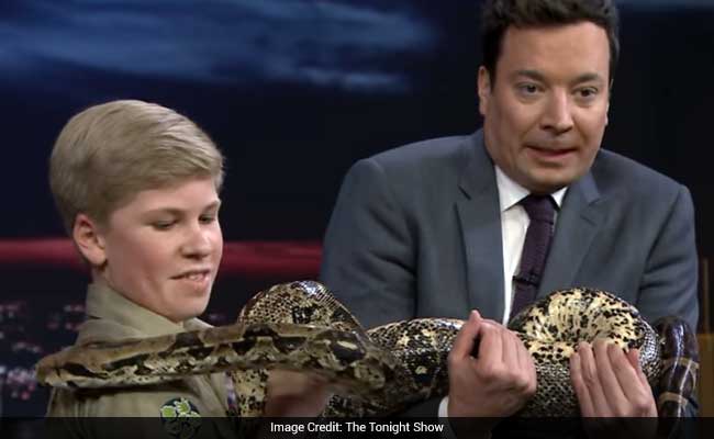 Like Father, Like Son. Steve Irwin Junior Impresses Crowd On Tonight Show