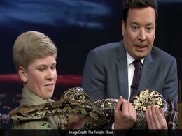 Like Father, Like Son. Steve Irwin Junior Impresses Crowd On Tonight Show Like Father, Like Son. Steve Irwin Junior Impresses Crowd On Tonight Show
