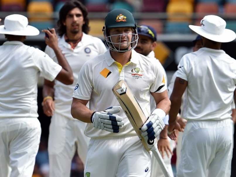 India vs Australia: Delhi Was One Of The Worst Pitches I've Ever Played On, Says Shane Watson
