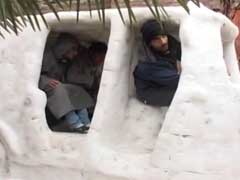 Auto-Rickshaw, Crocodile: How Kashmiri Kids Are Breathing Life Into Snow