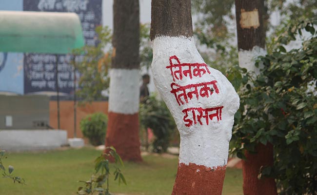 तिनका- तिनका ‘वैलेंटाइन’: इंतजार की अंतहीन खराश के बीच कुछ प्रेम....