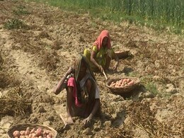 लोकसभा में गूंजा आलू उगाने वाले किसानों का मुद्दा, सरकार ने कहा- उठाए गए हैं उचित कदम लोकसभा में गूंजा आलू उगाने वाले किसानों का मुद्दा, सरकार ने कहा- उठाए गए हैं उचित कदम