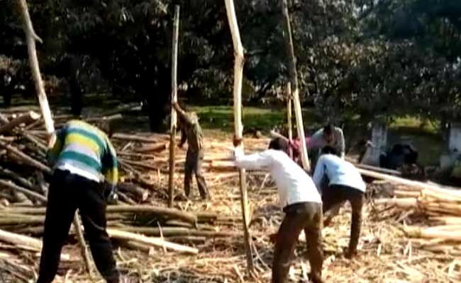 रामपुर जिले की स्‍वार-टांडा सीट पर नोटबंदी बना 'चुनावी मुद्दा' | लकड़ी उद्योग सकंट में