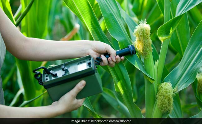 Agriculture Universities To Follow National Education Policy Guidelines Starting Academic Year 2025: ICAR assistant director general