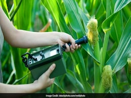 Agriculture Universities To Follow National Education Policy Guidelines Starting Academic Year 2025: ICAR assistant director general Agriculture Universities To Follow National Education Policy Guidelines Starting Academic Year 2025: ICAR assistant director general