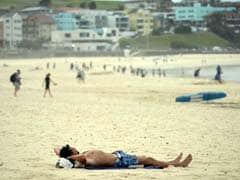 Hungarians In Maharashtra Clean Beach, Spread PM Narendra Modi's Swachh Bharat Message