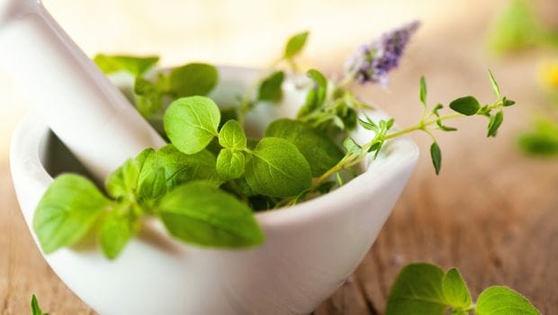 Ayurveda in Treating Cancer 6 Herbs That Can Help Reduce Risks