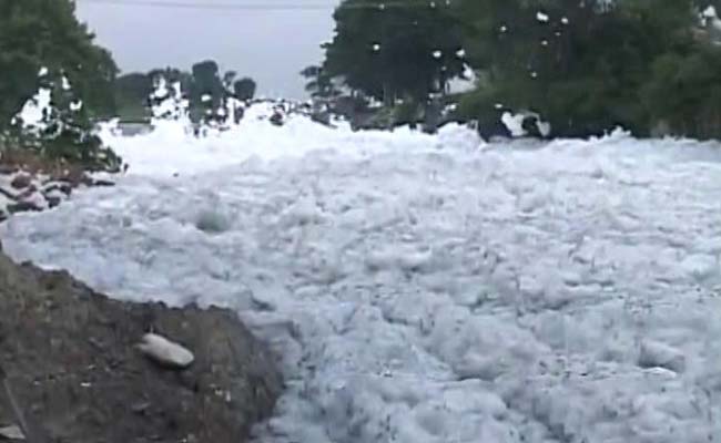 Why Do Bengaluru's Foamy Lakes Need Foreign Help, Ask City Experts
