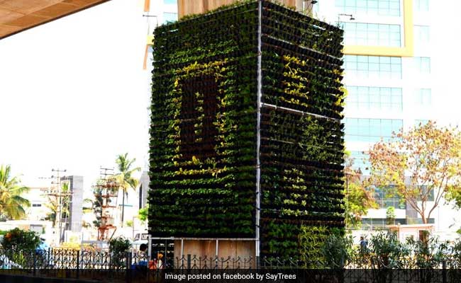 Bengaluru Gets Vertical Garden To Fight Pollution, All Thanks To Its Residents