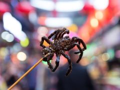Future Food: 5 Weird Food Items We Could Be Eating in the Future Future Food: 5 Weird Food Items We Could Be Eating in the Future