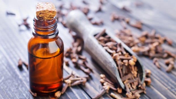 14 Amazing Benefits Of Clove Oil