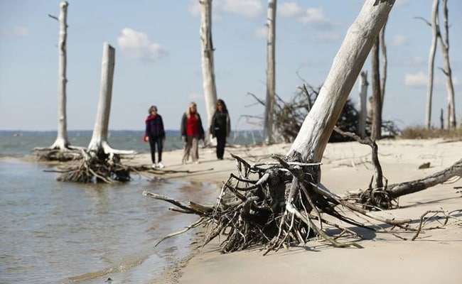 Global Warming May Disrupt Four-Fifths Of World's Oceans By 2050: Study