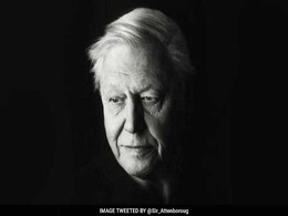 New Frog Species Named After Naturalist David Attenborough New Frog Species Named After Naturalist David Attenborough