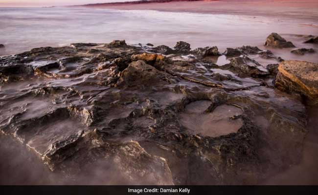 World's Biggest Dinosaur Footprint Discovered In 'Australia's Own Jurassic Park'