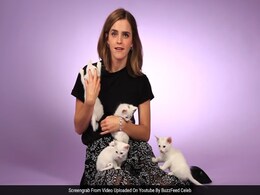 VIRAL: हैरी पॉटर की हिरोइन एमा वाटसन ने इंटरव्यू में किया ऐसा काम, दुनिया है हैरान VIRAL: हैरी पॉटर की हिरोइन एमा वाटसन ने इंटरव्यू में किया ऐसा काम, दुनिया है हैरान