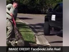 Watch: 9-Foot Alligator Pulled Out From A Drain In Florida