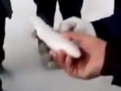 Frozen Fish Comes Back To Life In Video Gone Viral