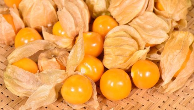 9 Marvelous Health Benefits of Cape Gooseberries (Rasbharies