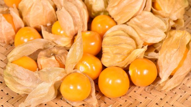 Gooseberries Benefits: छोटे से करौंदे के फायदे हैं बड़े, इम्यूनिटी और दिल की सेहत के लिए हैं कमाल, डाइट में करें शामिल