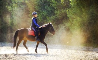 Learning Horse Riding Could Boost Mental Skills in Kids