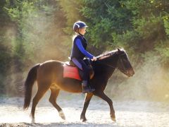 Learning Horse Riding Could Boost Mental Skills in Kids Learning Horse Riding Could Boost Mental Skills in Kids