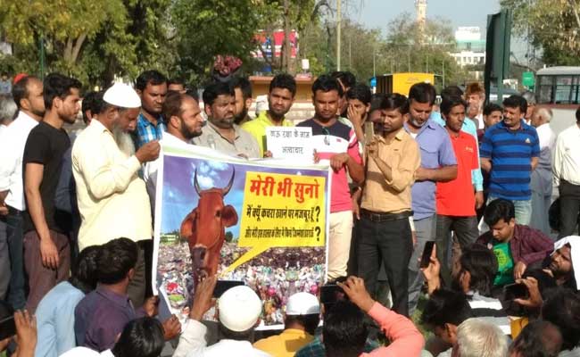 जयपुर : बीफ होने के शक पर होटल सील, सामाजिक संगठनों ने किया प्रदर्शन