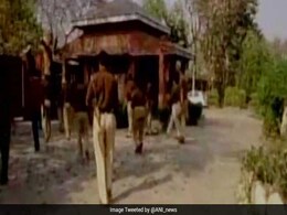 रेप के आरोपी यूपी के मंत्री गायत्री प्रजापति के खिलाफ लुक आउट नोटिस जारी, कई शहरों में छापे रेप के आरोपी यूपी के मंत्री गायत्री प्रजापति के खिलाफ लुक आउट नोटिस जारी, कई शहरों में छापे