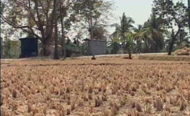 As Karnataka Heads For Another Drought, Farmer Family Struggles To Repay Loan