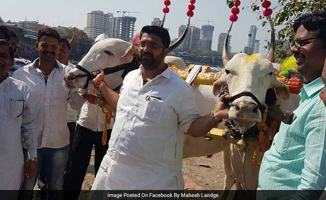 BJP Legislator Mahesh Landge Rides Bullock Cart To Vidhan Bhawan In Maharashtra