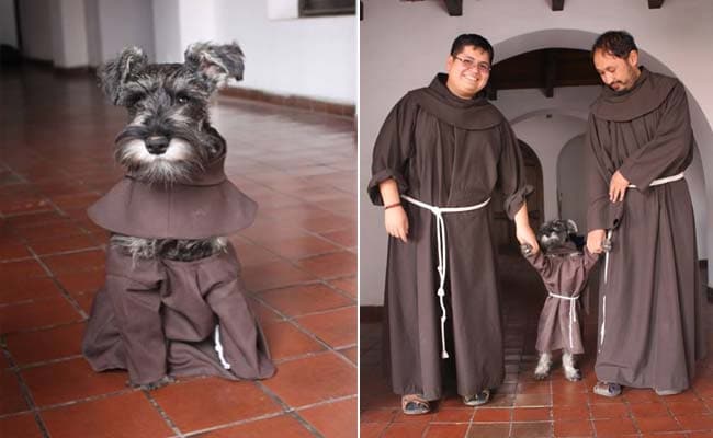 Meet 'Friar Moustache,' A Stray Dog Adopted By Bolivian Monks