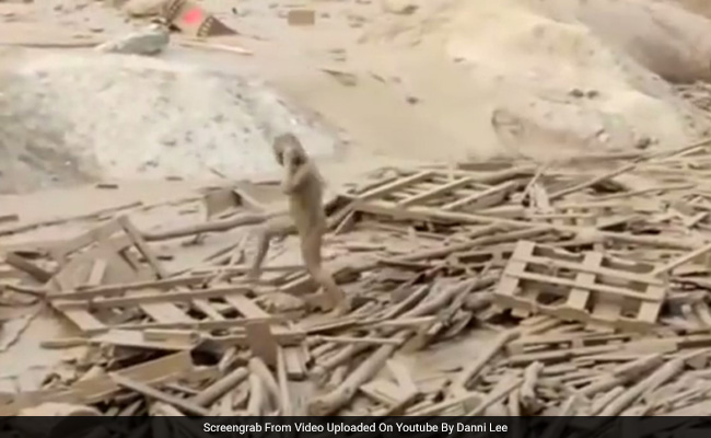 Watch: Woman's Dramatic Escape Out Of A Massive Mudslide In Peru