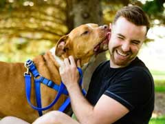 10 Pet-Friendly Restaurants for an Enjoyable Outing 10 Pet-Friendly Restaurants for an Enjoyable Outing