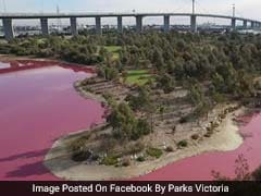 Australian Lake Turns Pink. You Can Look, But Don't Touch