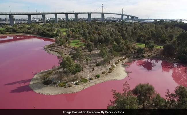 Australian Lake Turns Pink. You Can Look, But Don't Touch