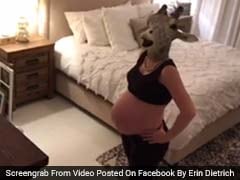 Pregnant Woman And A Giraffe: 24 Million Views And Counting