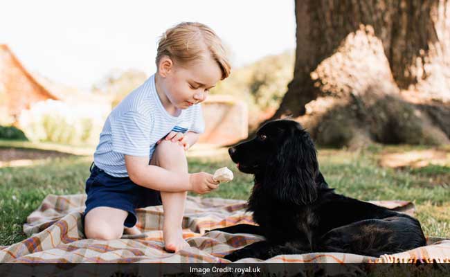 Britain's Prince George, 4, On ISIS Hit List: Report